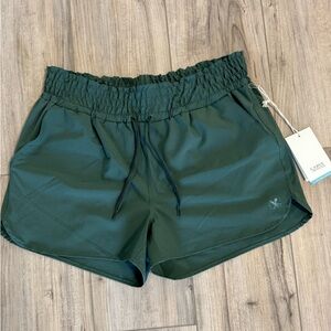 Carve Designs Women’s Green Shorts Size M